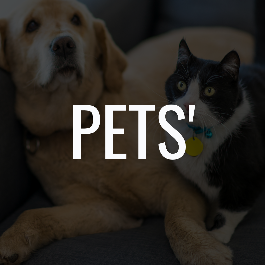 For Pets