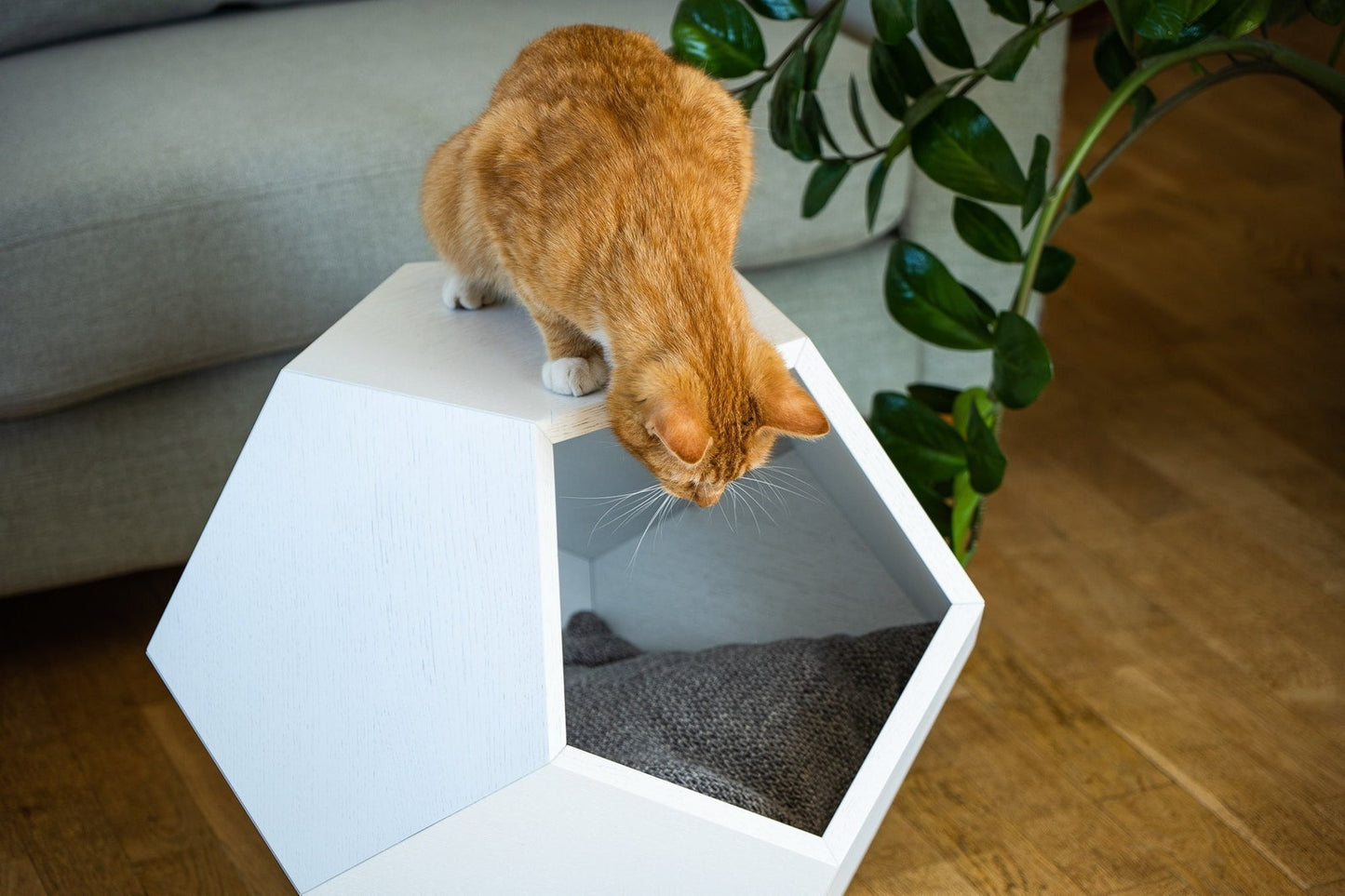 Cat bed polyhedron