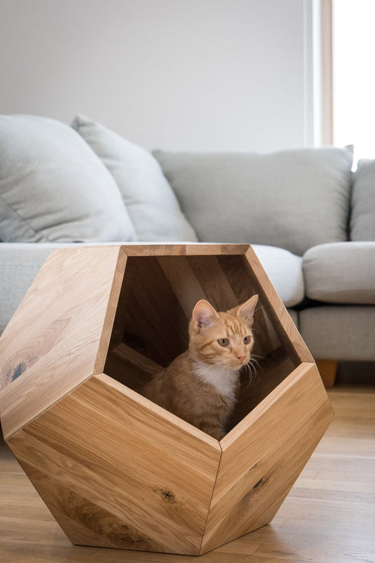Cat bed polyhedron