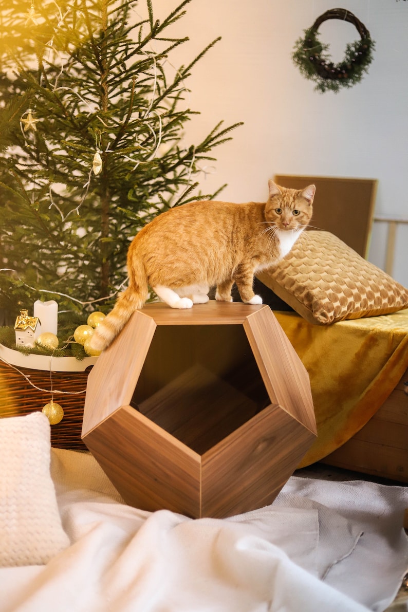 Cat bed polyhedron