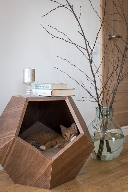 Cat bed polyhedron