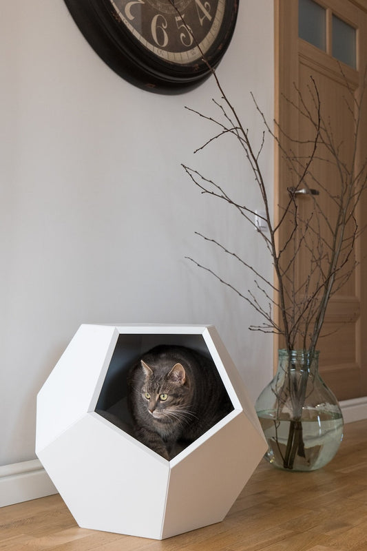 Cat bed polyhedron