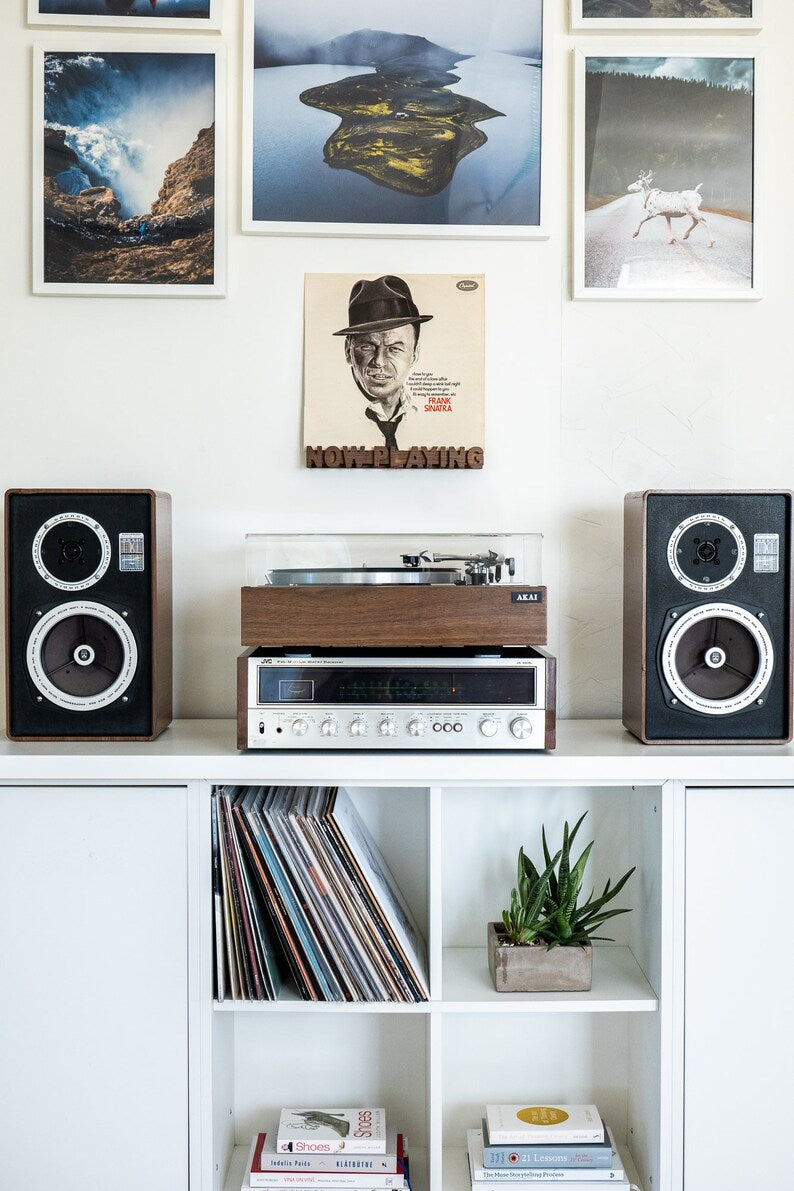 Vinyl record display "Now playing"