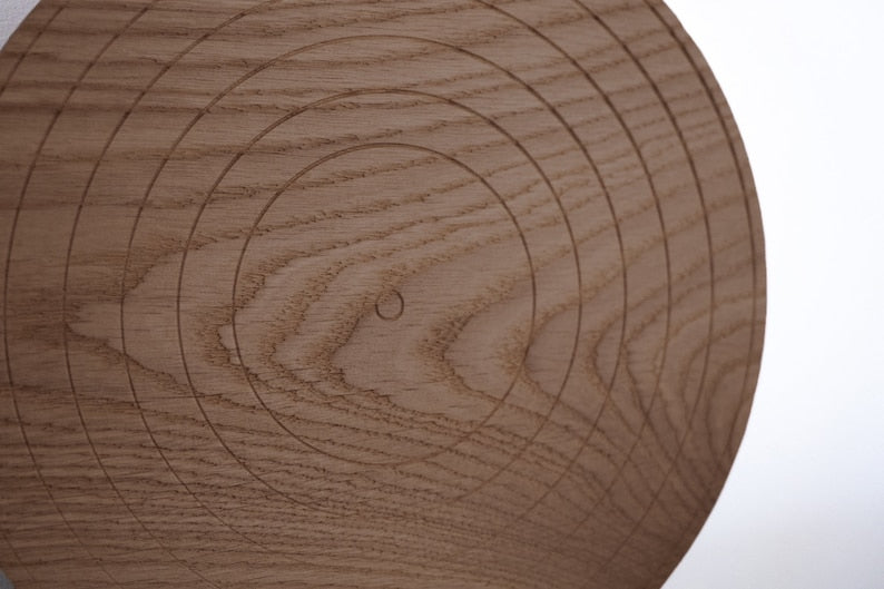 Disk shaped vinyl record display