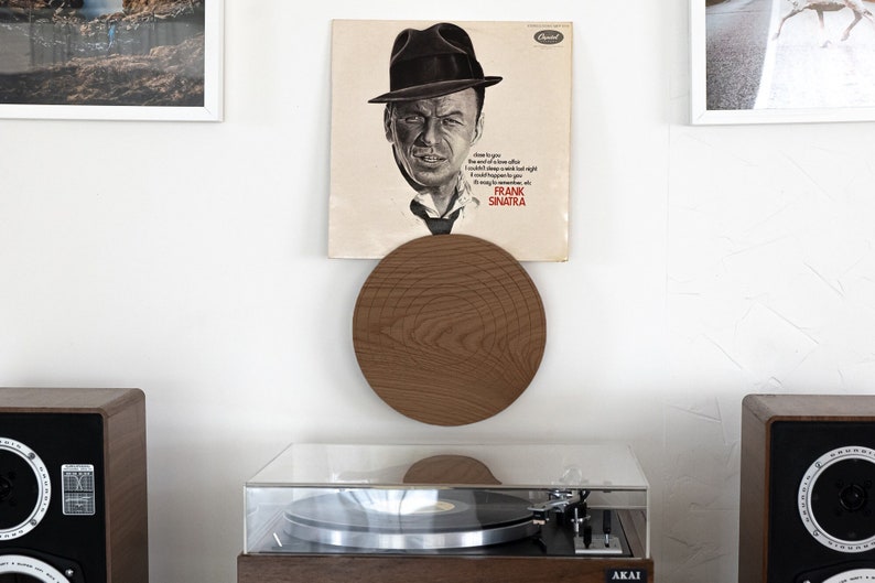 Disk shaped vinyl record display