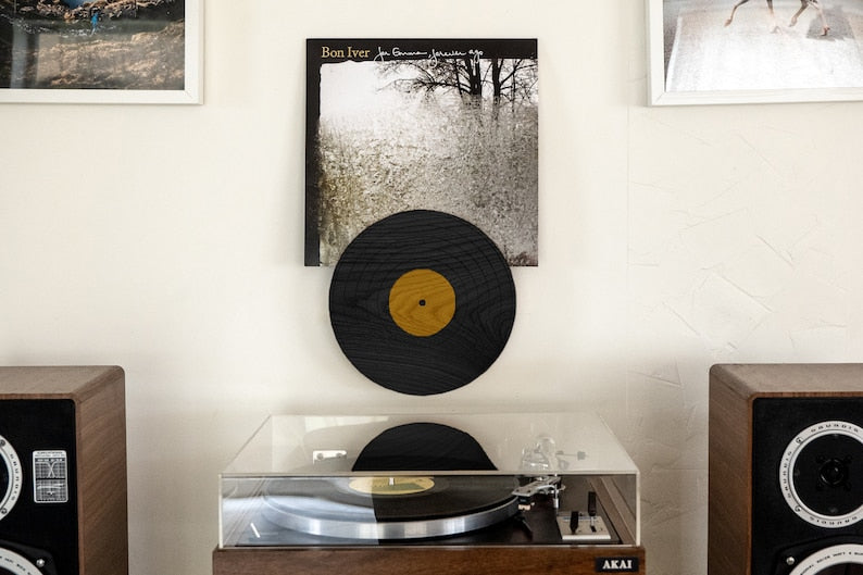 Disk shaped vinyl record display