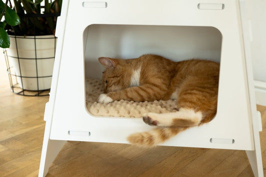 Cat bed "TV"