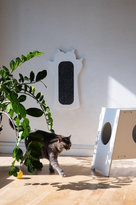 Cat scratcher "PAW"