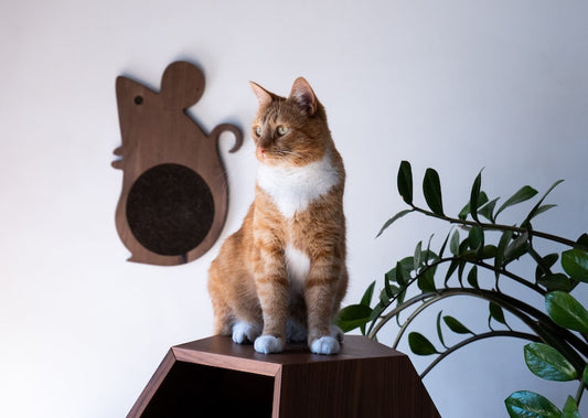 Cat scratcher "MOUSE"