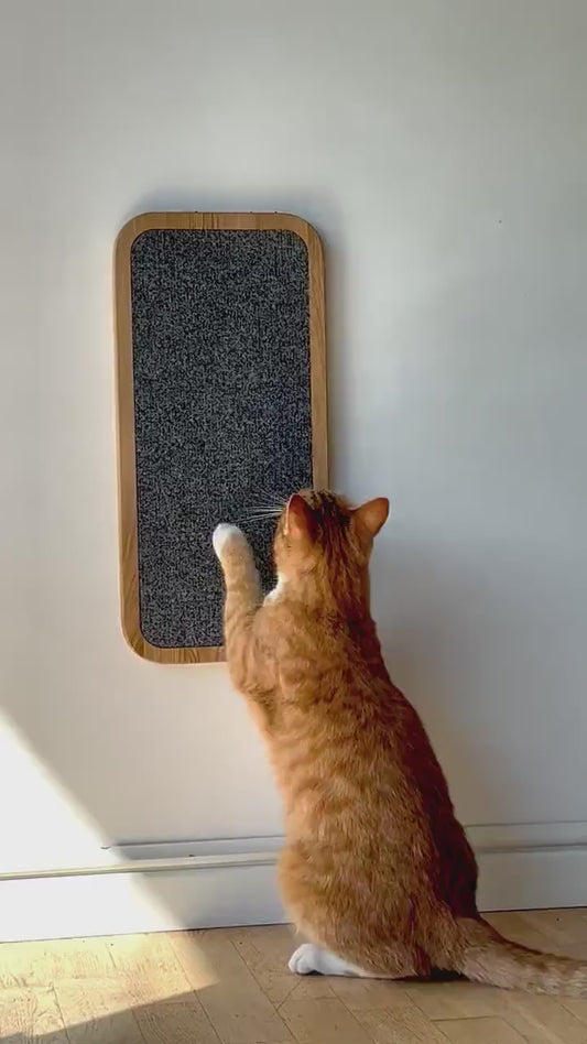 Cat scratcher