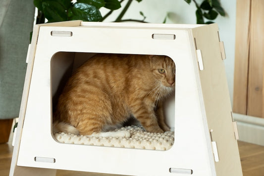 Cat bed "TV"