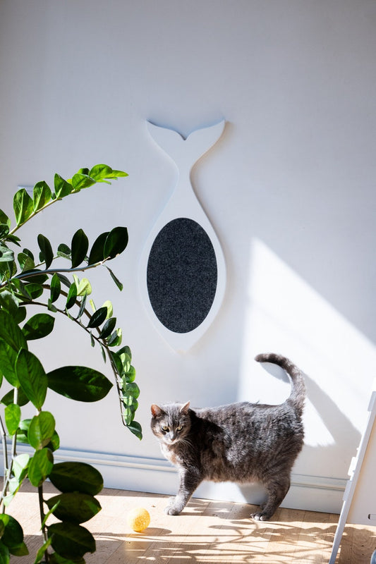 Cat scratcher "FISH"