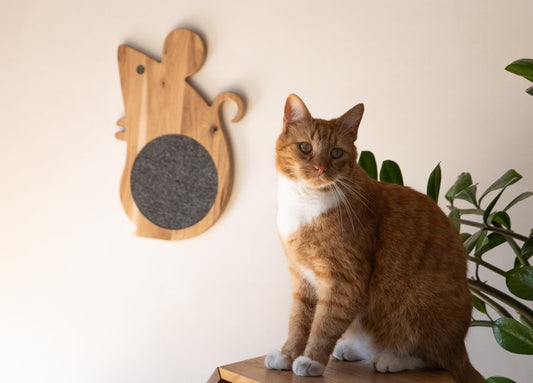 Cat scratcher "MOUSE"