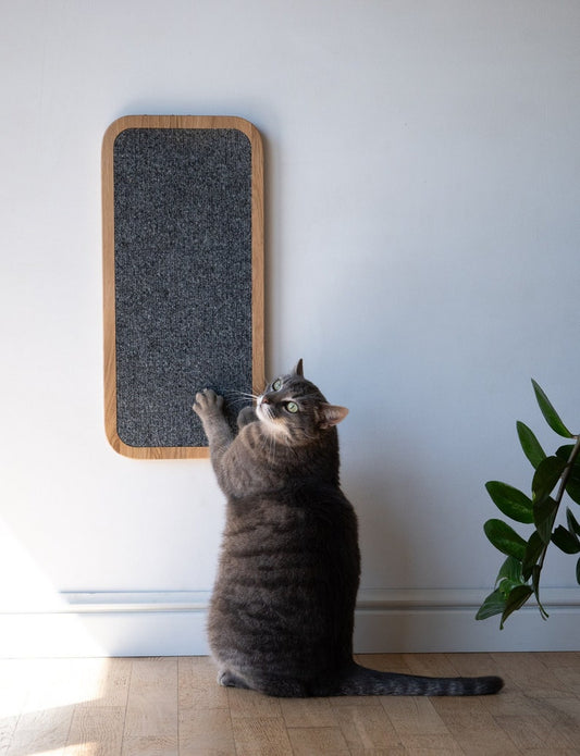 Cat scratcher